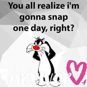 Meet your Posher, Dorothy